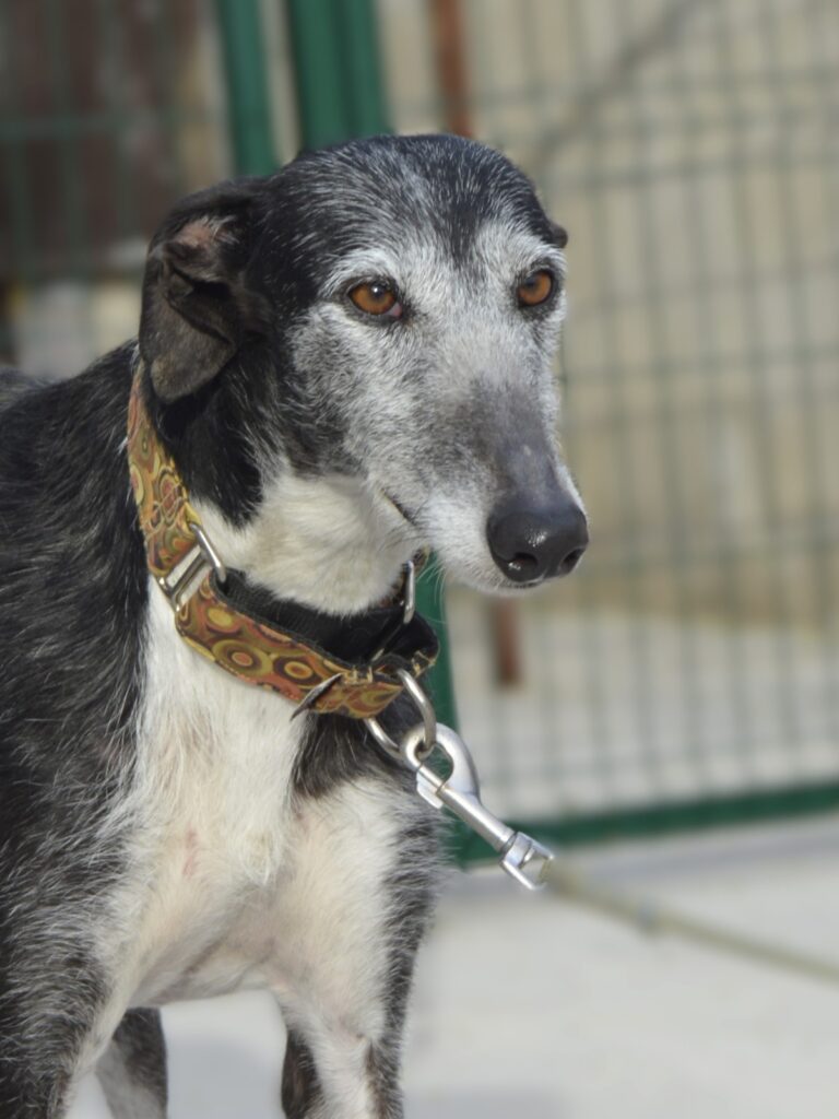 Celia - Photo 1